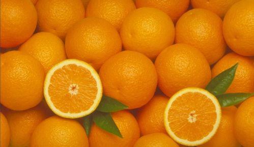 娱乐吃瓜橘子视频大全